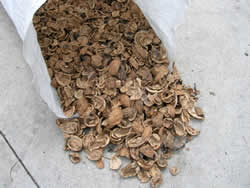Crushed walnuts